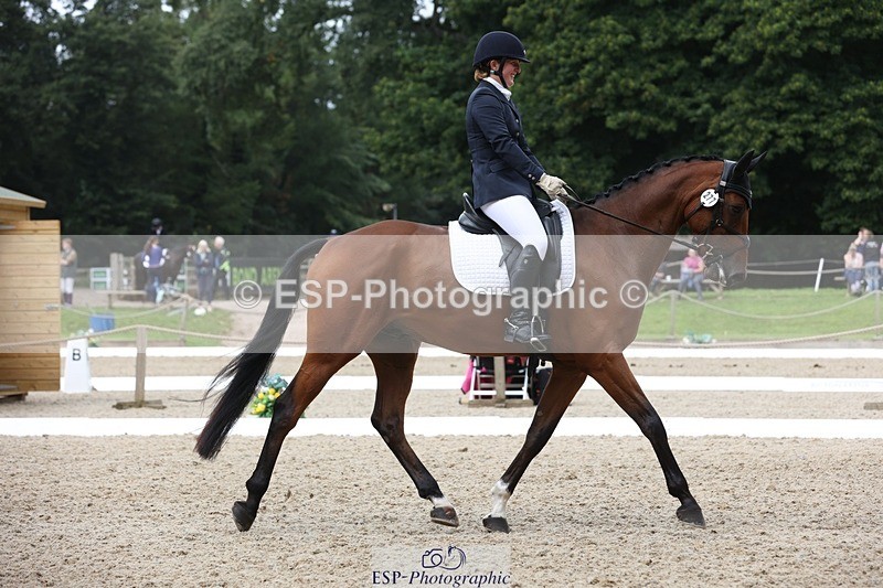 230812-115033-03876 - Cls 5 Novice Bronze 11.15 to 12.50 break