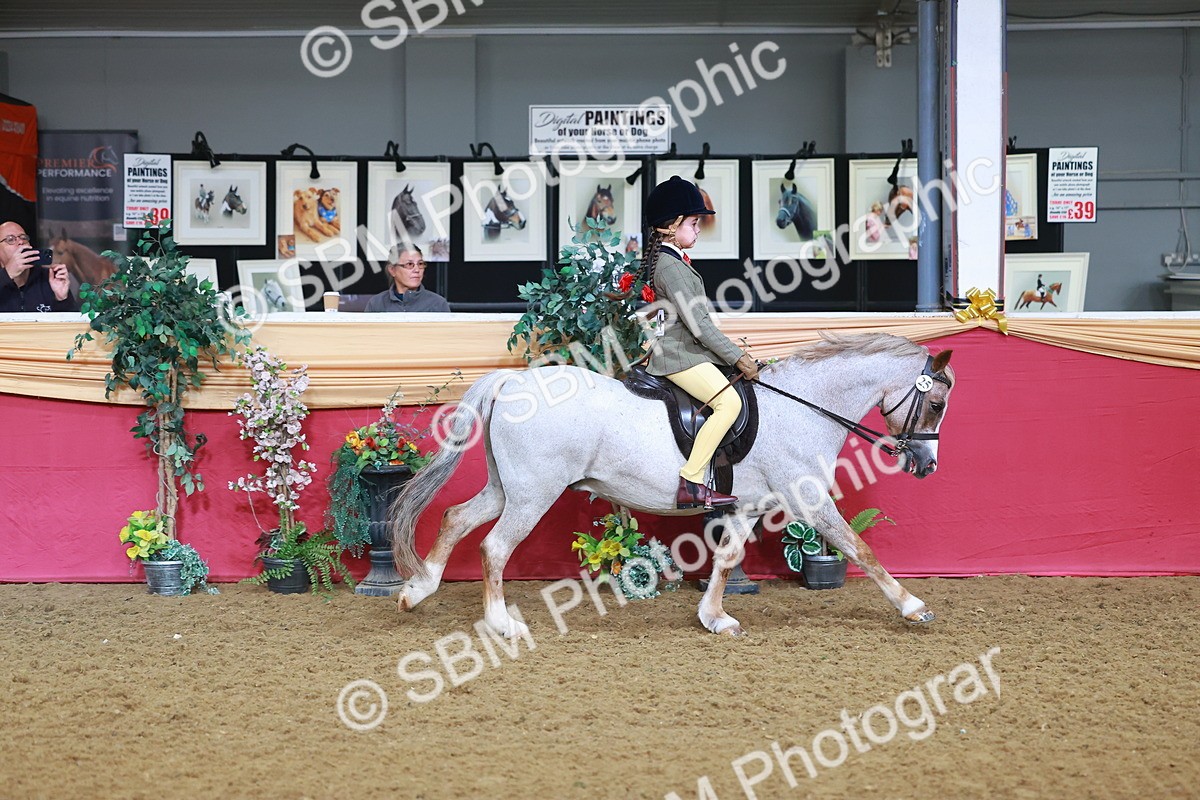 SBM_07614 - Class 101 - HOYS Veteran Qualifier - Ridden Diamond