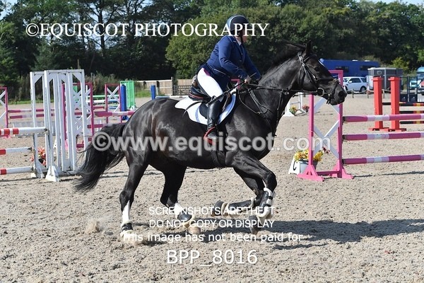 BPP_8016 - CLASS 4 Senior Discovery/ 1m Open