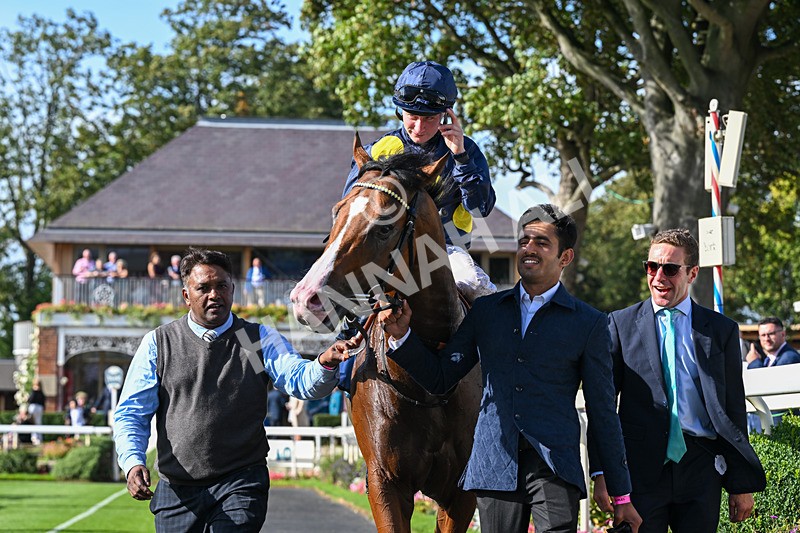 060926-Race 5-Extremely Zain-8561 - Race 5 3.50pm Starman At Tally Ho Stud Garrowby Stakes