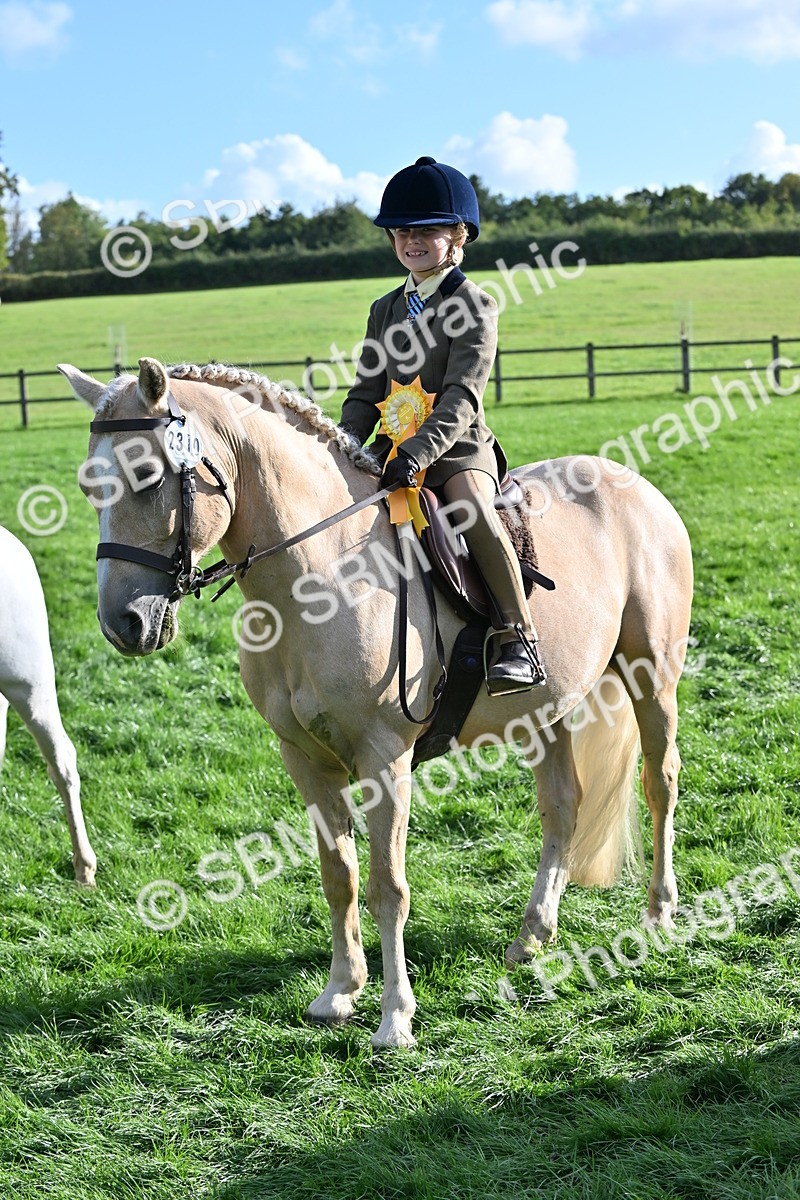 SBM_51287 - S22 - First Ridden show and show Hunter Pony