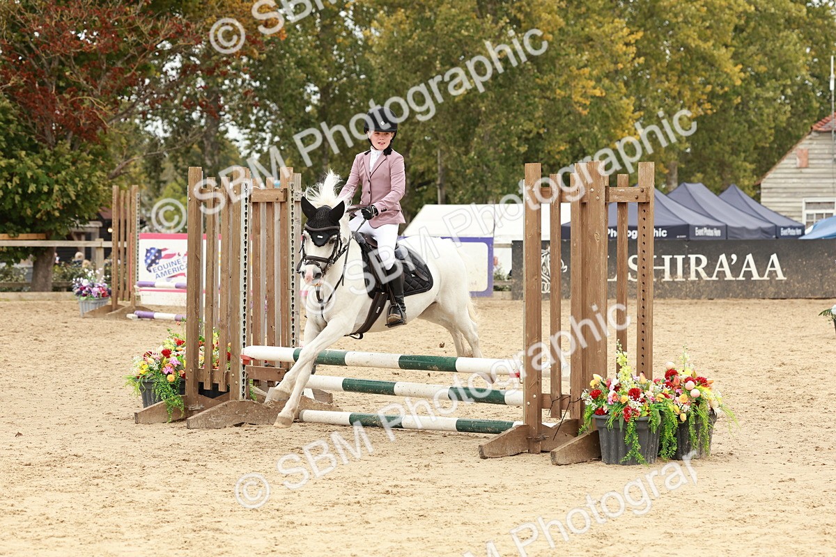 SBM_65229 - Supreme Championship 50cm & 55cm