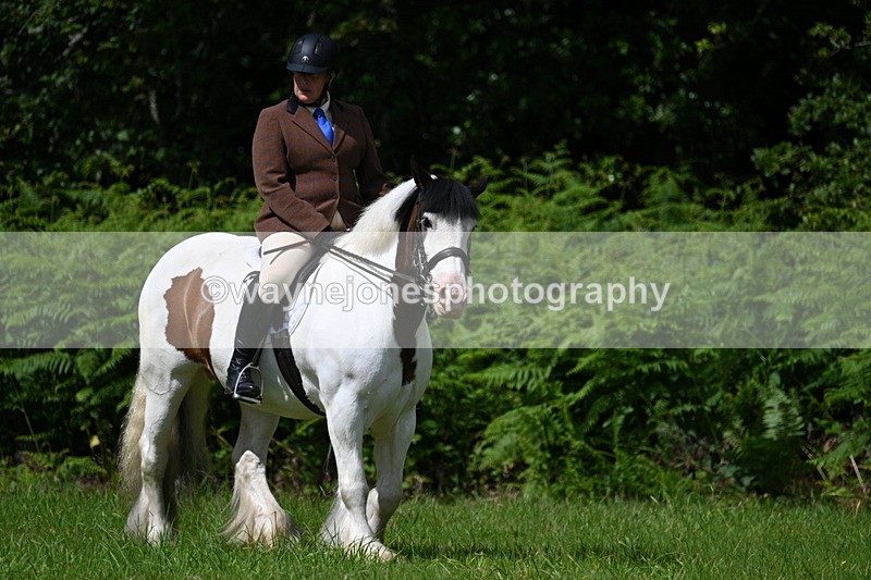 WJ7_1523 - Class 11 Condition & Turnout