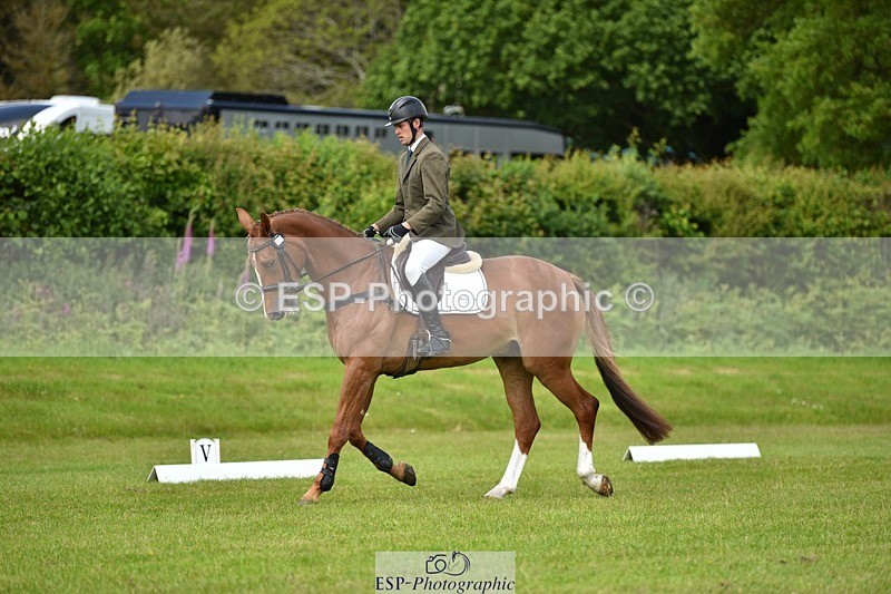 240523B-132326-02396 - 5 Year Old