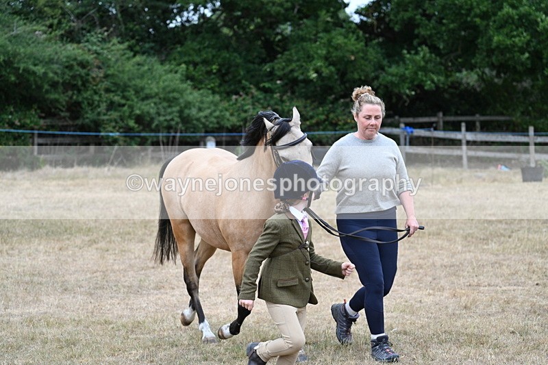WJ7_9544 - Class 5 Most Handsome Gelding (up to 14.2hh)