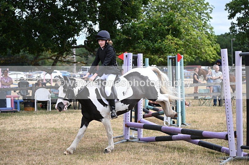 WJ6_5281 - Class 12 Minimus Jumping 45cm