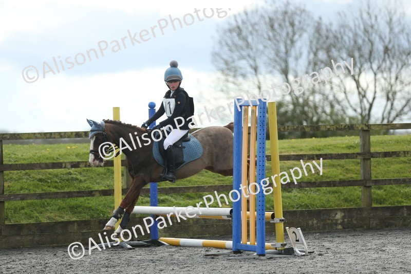20260412-1713 - Show Jumping