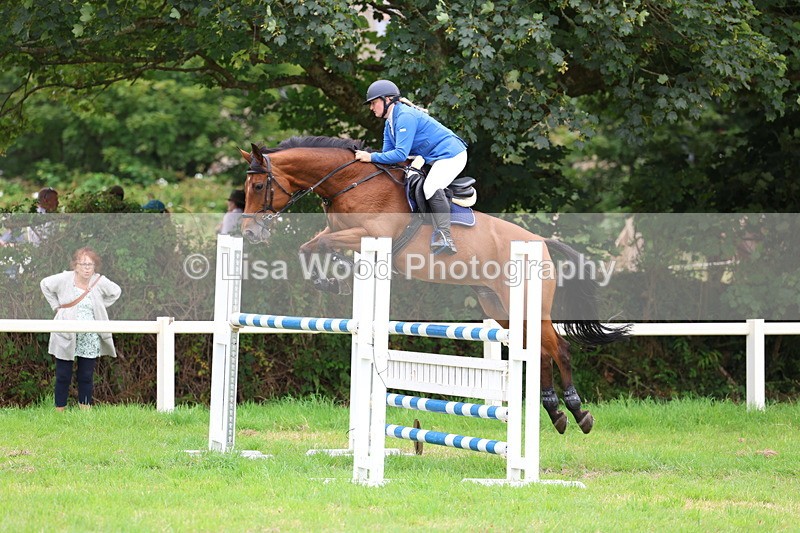 3E7A8405 - Class 8: Senior Foxhunter/1.20m open