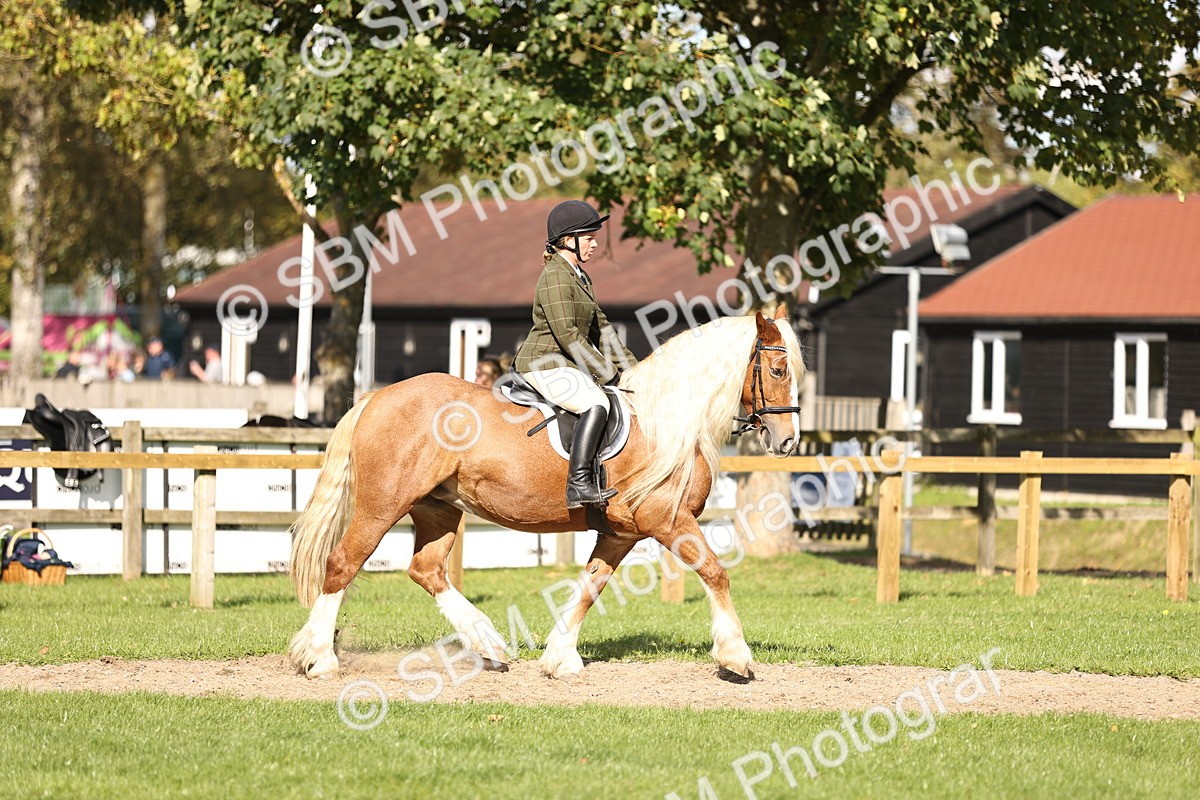 SBM_26329 - S6 - Novice & Newcomers Ridden Horse