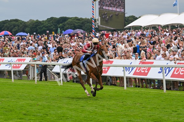270724-Race 2-Rage Of Bamby-6808 - Race 2 2.40pm Sky Bet Dash Handicap