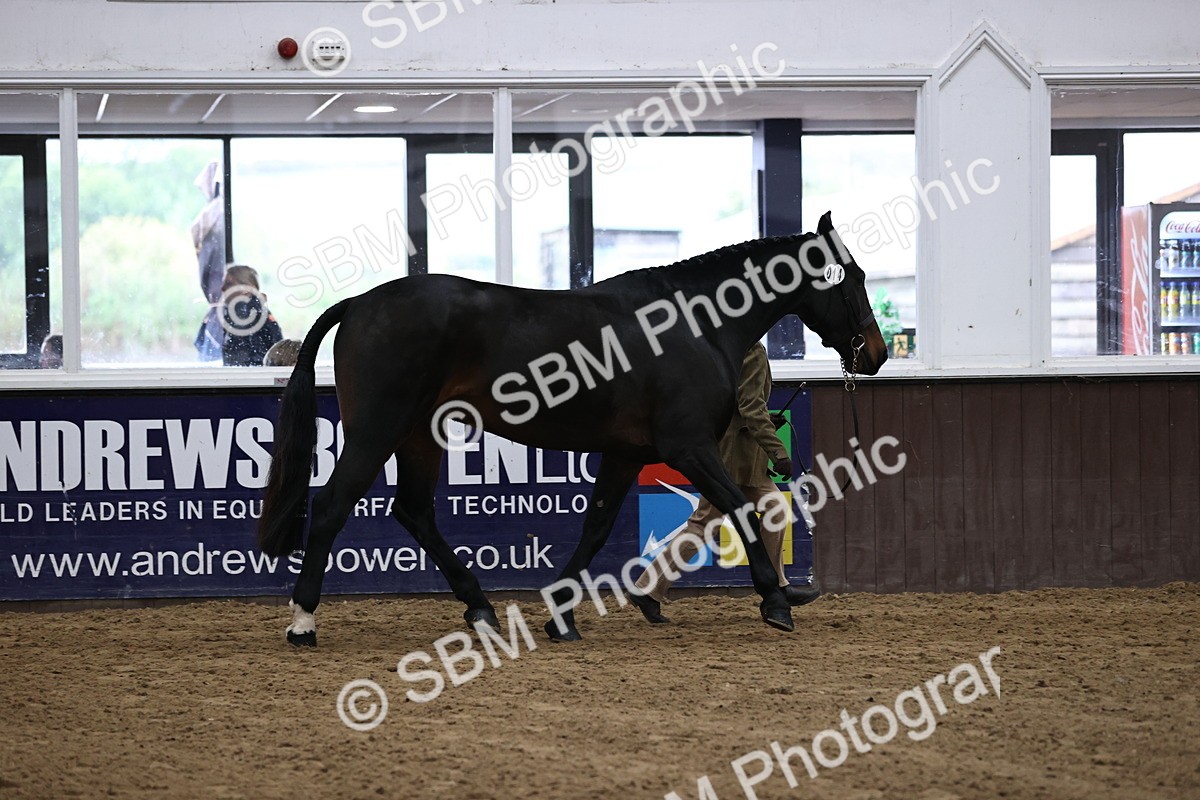 SBM_5617 - Class 40 - RESS In Hand Qualifier