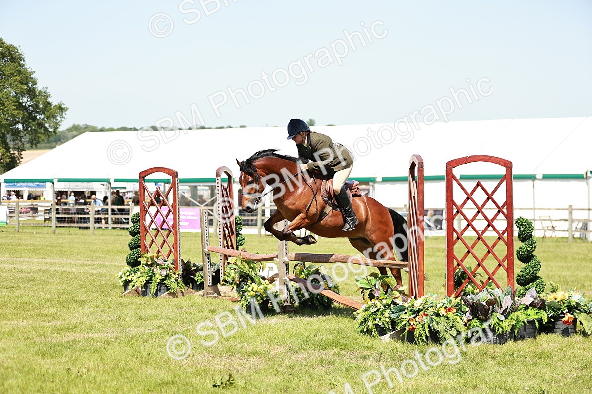SBM_17355 - Class 110-111 - Training Stakes (70cms 80cms)