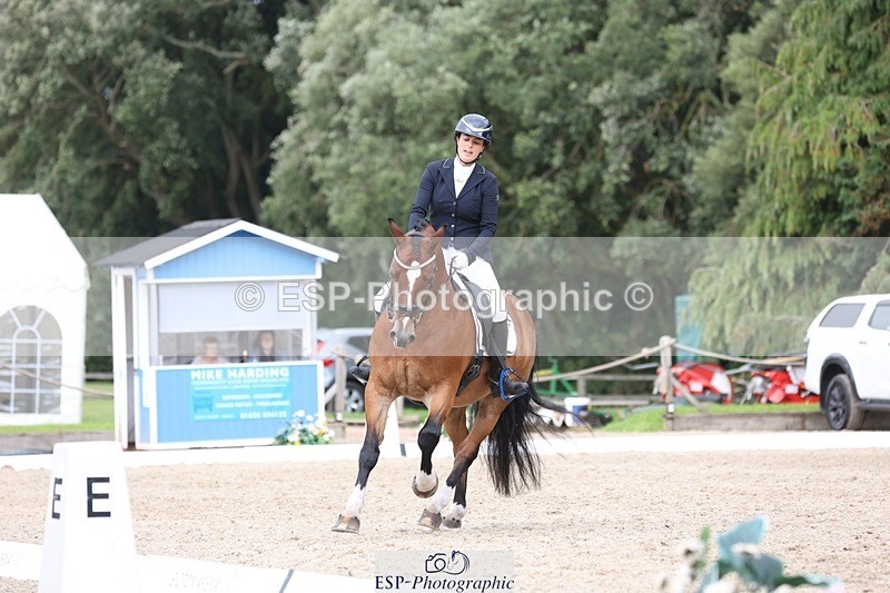 230812-151023-05068 - Cls 5 Novice Bronze 15.00 to End