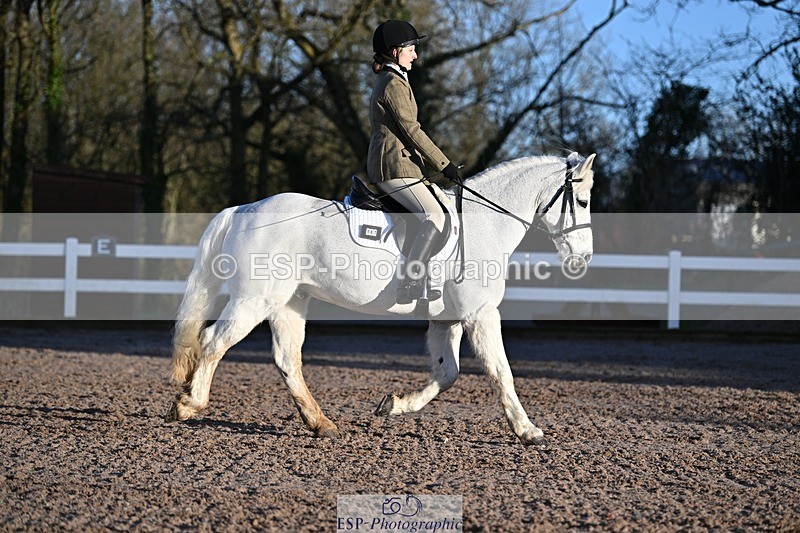 250125-091245-00021 - Dressage - CT Class 1 & 2 Intro 1