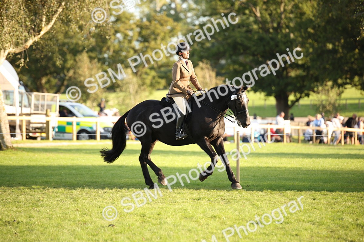 SBM_54428 - S27 - Mature Veteran - Ridden