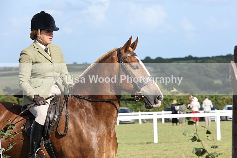 JPP_2987 - Class 20: Working Hunter 70cm