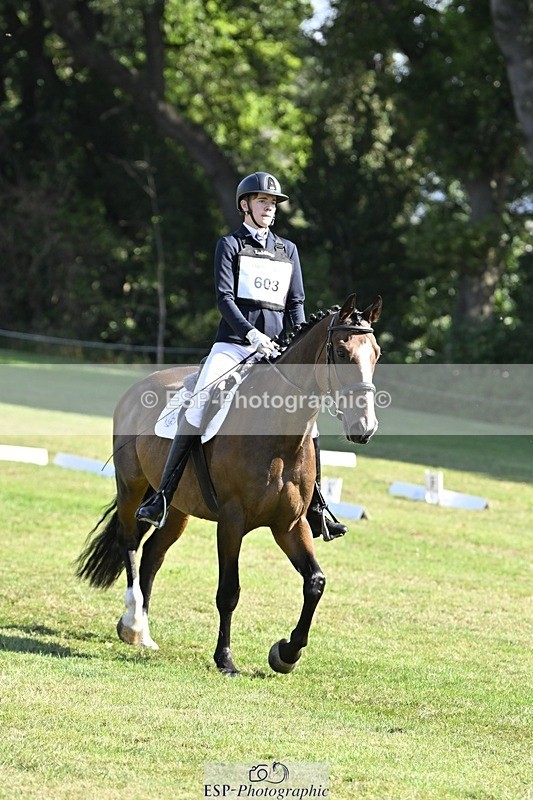 250822A-102830-20257 - DR 10.00 to 11.00