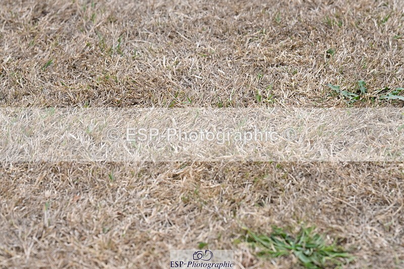 250820A-175346-12346 - Wednesday Presentations