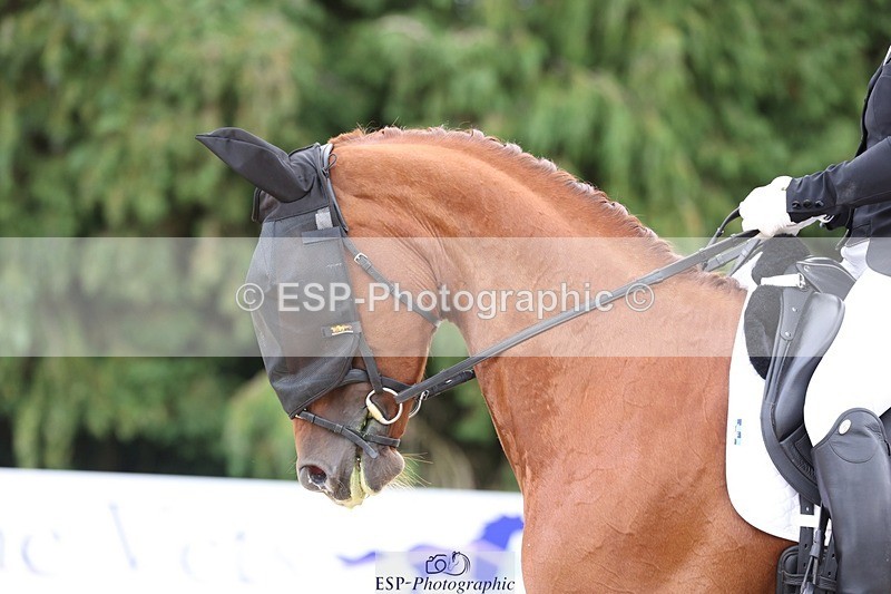 230813-132609-07343 - Cls 11 Elem Bronze 13.15 to 14.10 break