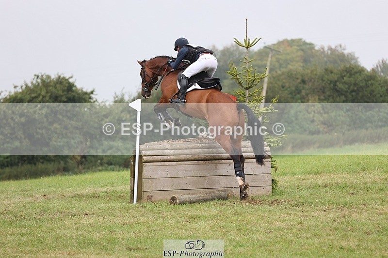 240901A-124614-08910 - 308-Tommy.Greengard-MBF.GOOGLE