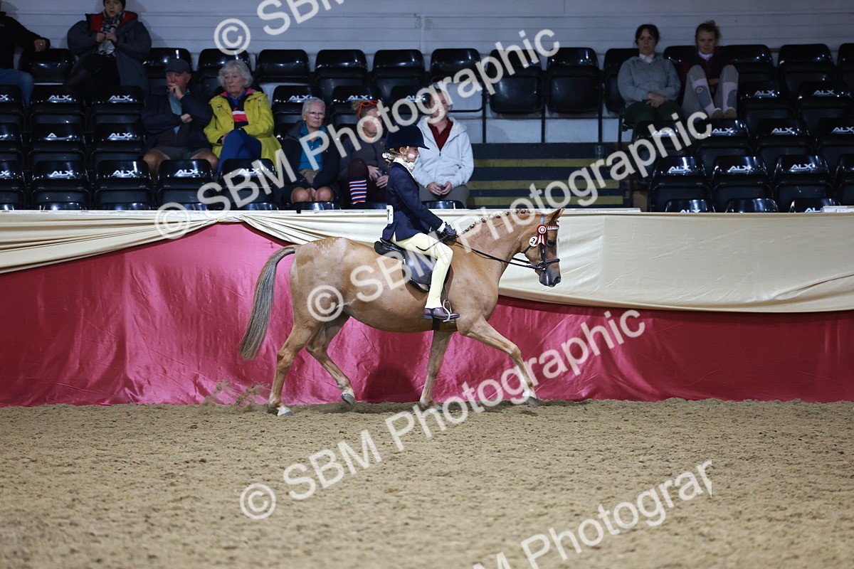 SBM_20264 - Class D - Grass Roots Champ