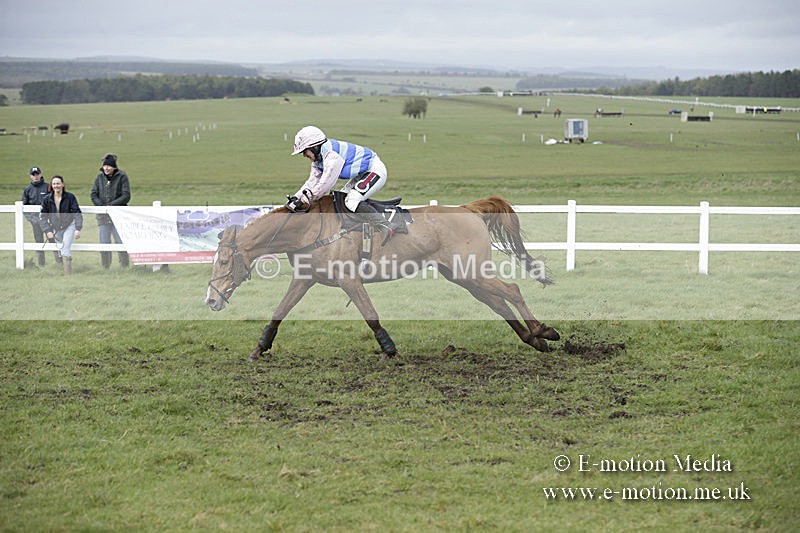 PtP 150320 0441 - New Forest Point-to-Point Larkhill 15/03/20