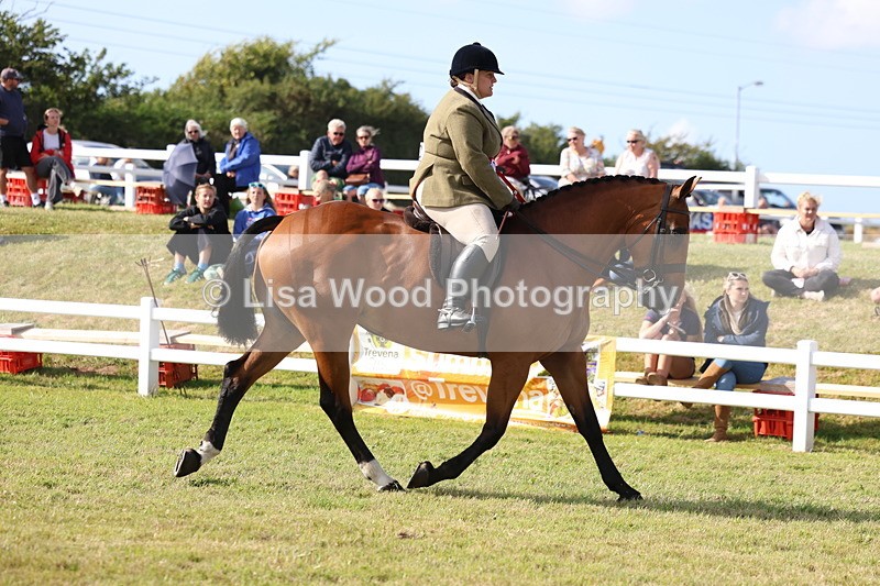 3E7A3840 - Supreme Championship