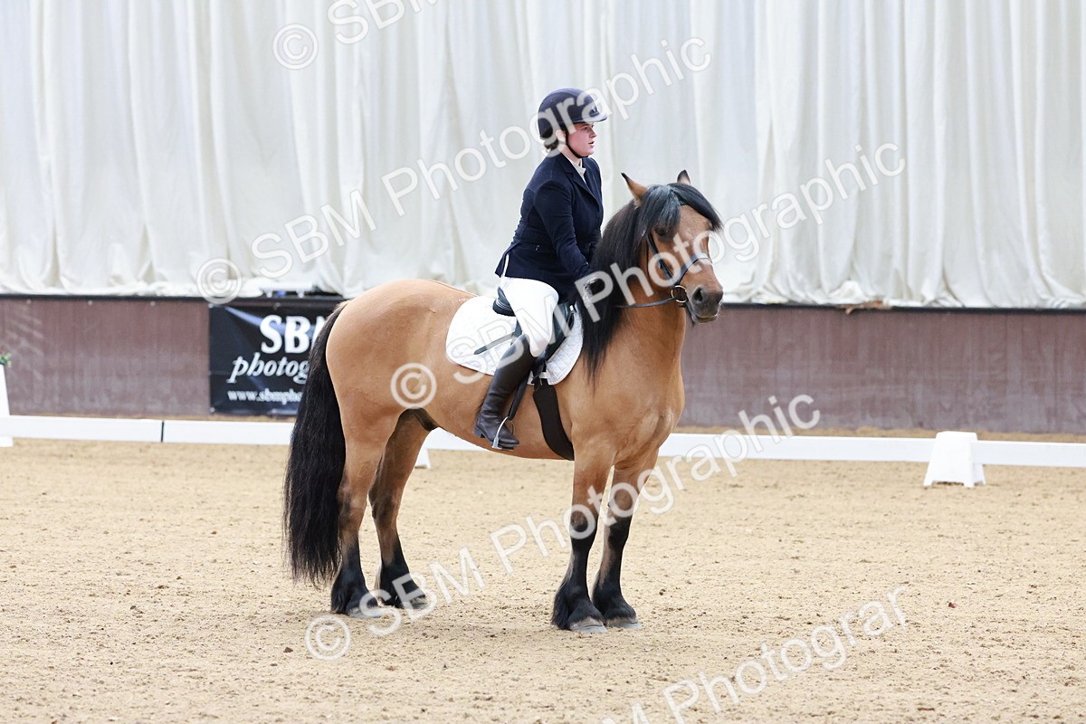 SBM_003211 - Intro 2