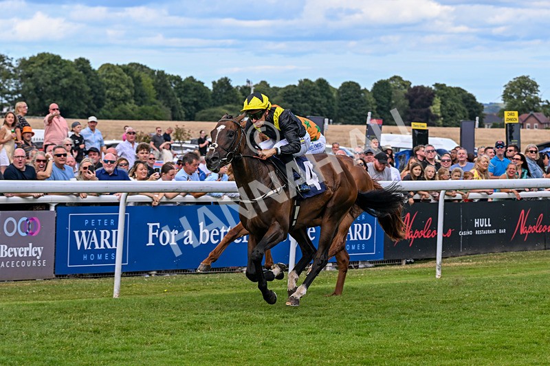 040726-Race 2-Rosberg-3498 - Race 2 14.52pm Matthew Ireland Memorial EBF Maiden Stakes