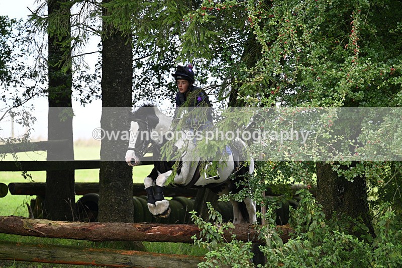 WJ7_8195 - Time 14:11 to 14:30