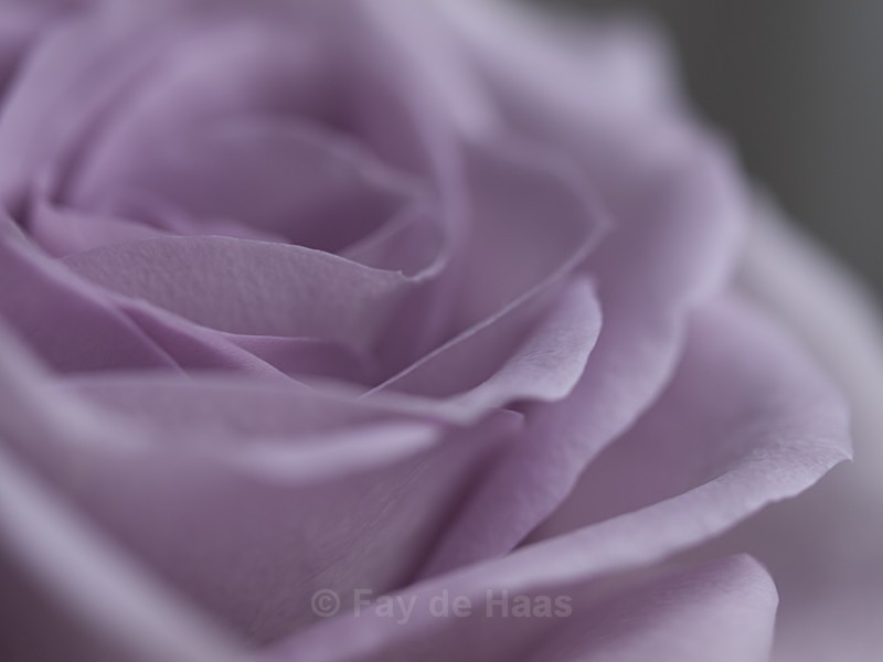  - Nature's Wonders
