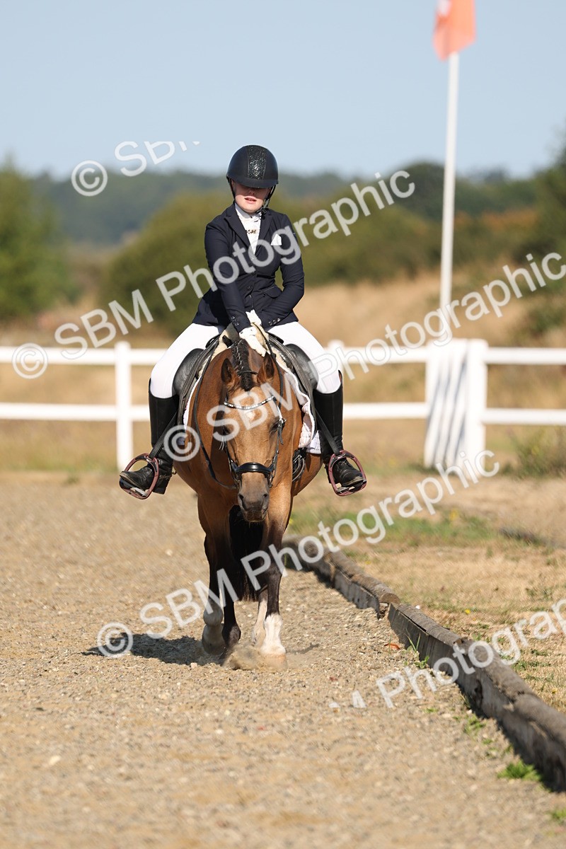 SBM_012630 - Class 1 - P5 Bronze 9.00.10.12