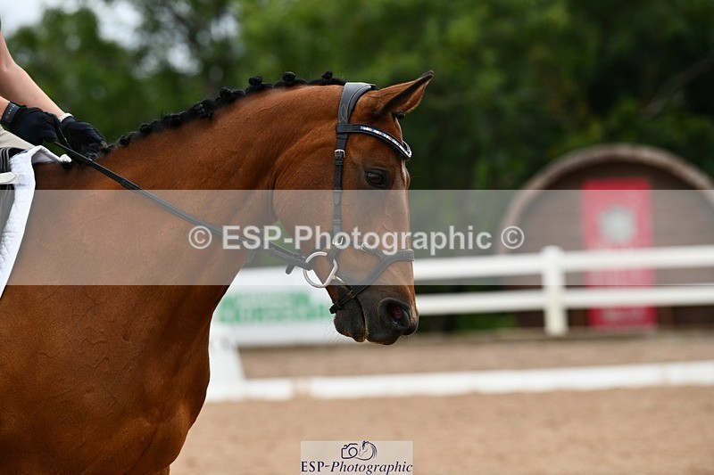 250705-161757-05476 - E1 Section BDE1 16.02 to  to 16.58