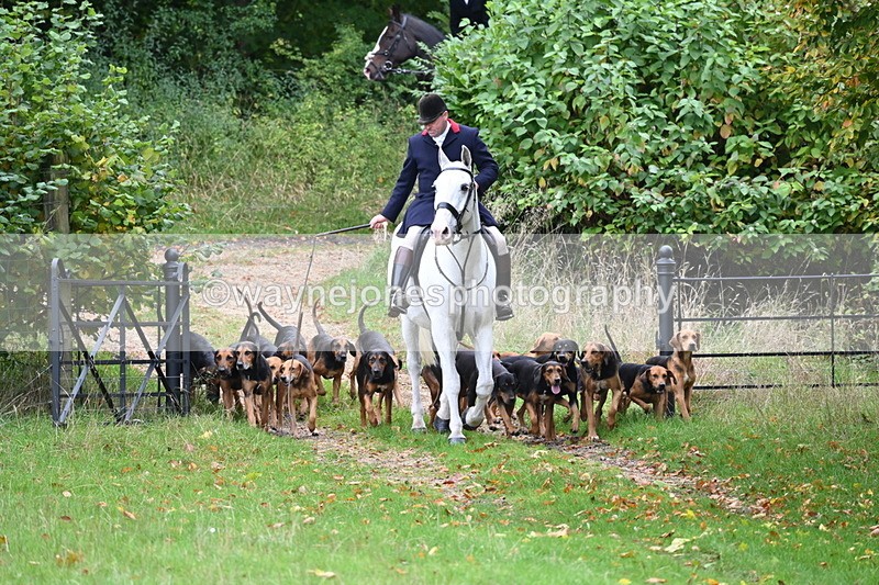 WJ6_0042 - Camera 2 Meet