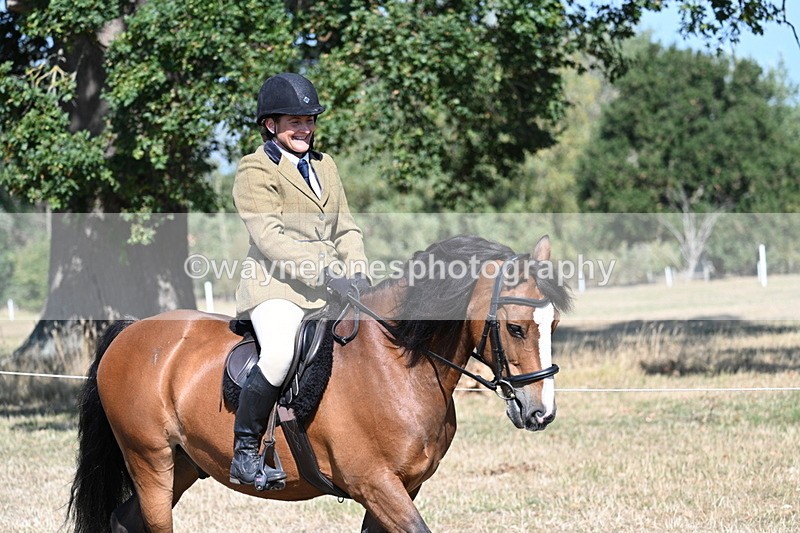 WJ7_3524 - Class 9 Mountain & Moorland Ridden