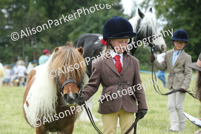 20260614-4292 - Class 18 - Best Junior Handler