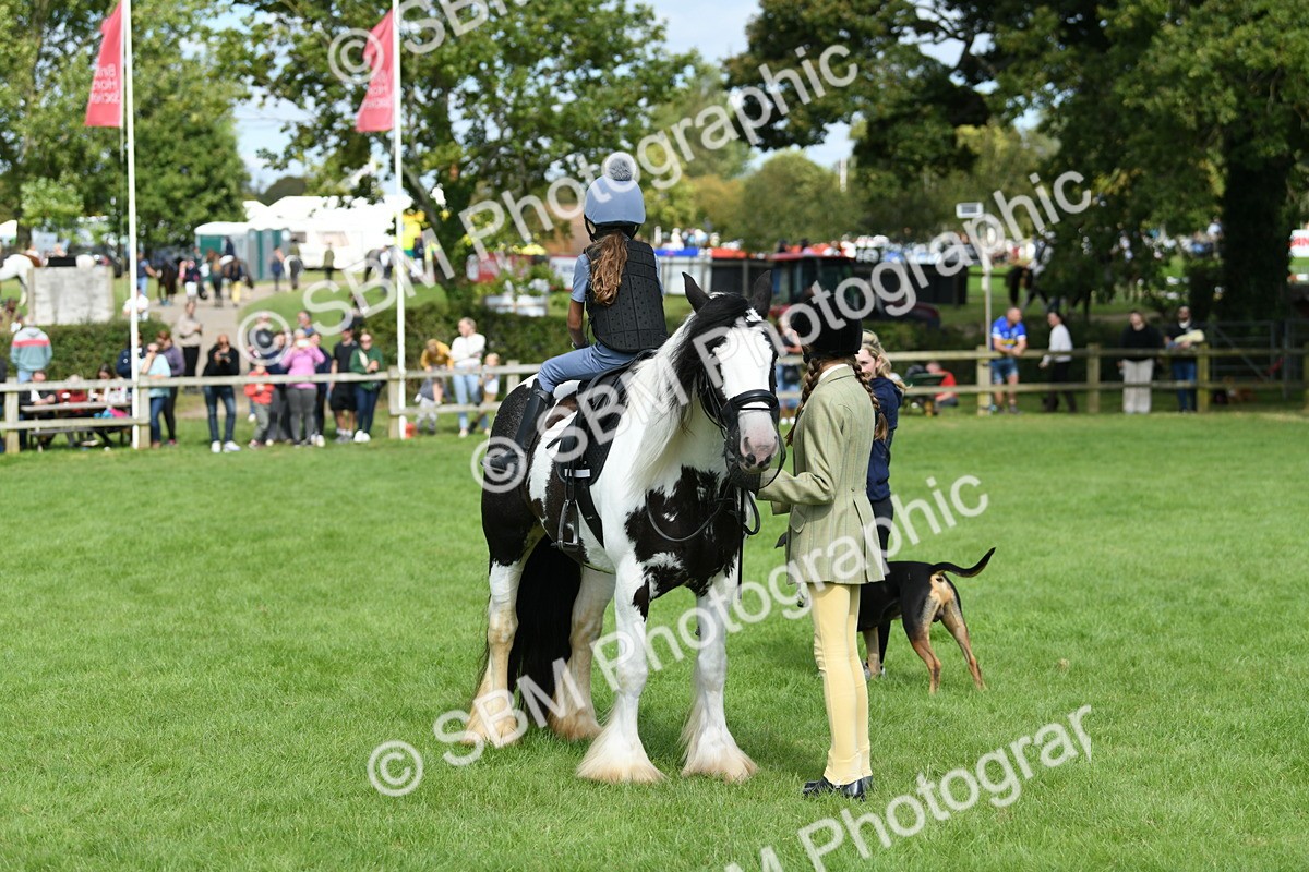 SBM_46946 - S12 - Family Horse & Pony