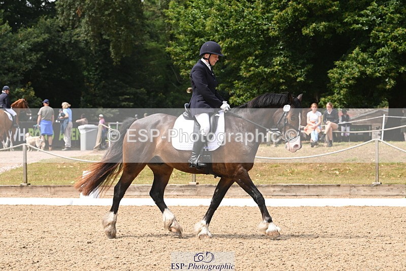 250720A-115639-10077 - 079-Amanda.Williams-Llanarth.Westminster