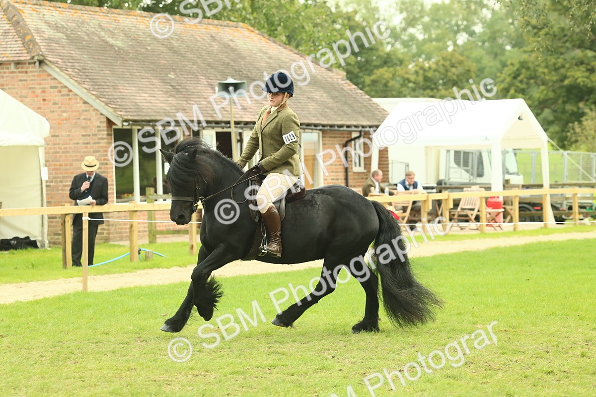 SBM_71931 - S60 - Mountain & Moorland Ridden Large Breeds