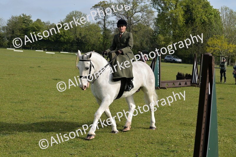 20260426-0889 - Class 18 - Novice Showing