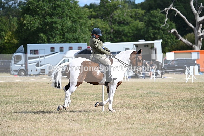 WJ7_7463 - Class 14 Ridden Coloured