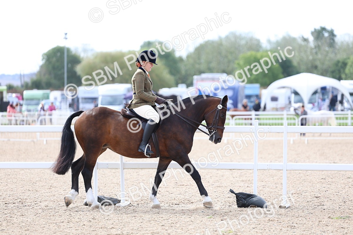 SBM_18850 - Young Rider Championship
