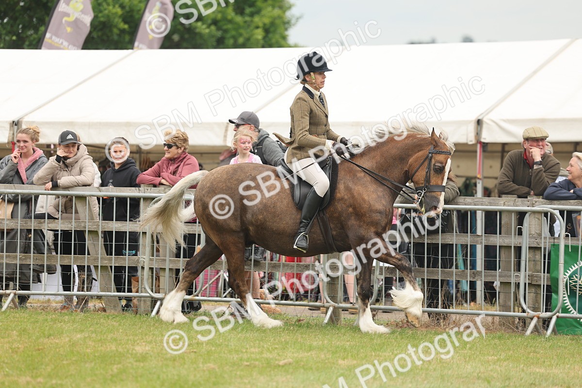 SBM_07192 - Class 76-77 - Ridden M&M Welsh Ponies