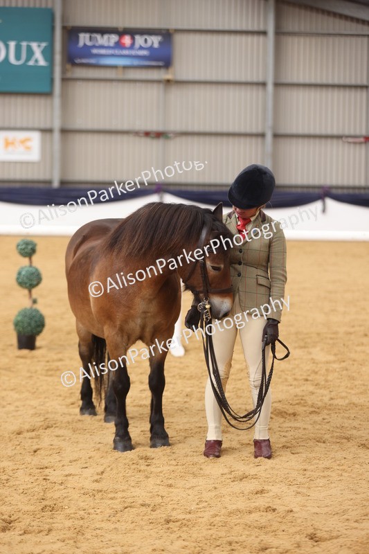 20260913-1711 - Class 115 - Gelding 4years and over