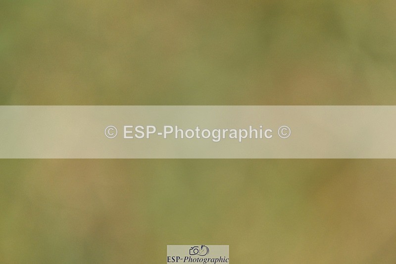 260730-120627-00602 - Cls 9 95cm Amateur