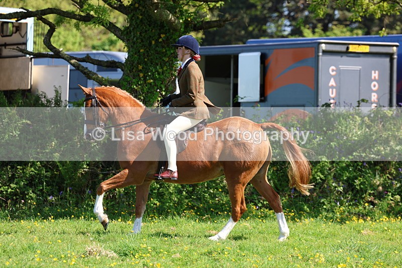 3E7A9607 - Class 4: Best Combination Senior