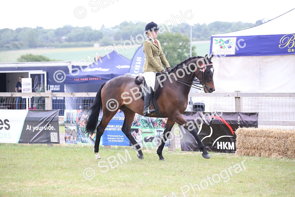 SBM_11411 - Class 94 - LIHS BSHA Racehorse to Showhorse