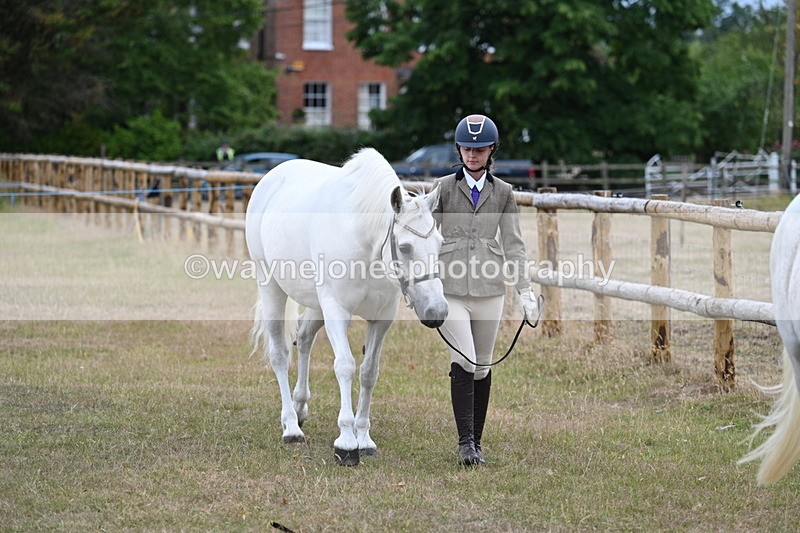 WJ7_9036 - Class 4a Prettiest Mare 14.2hh and over