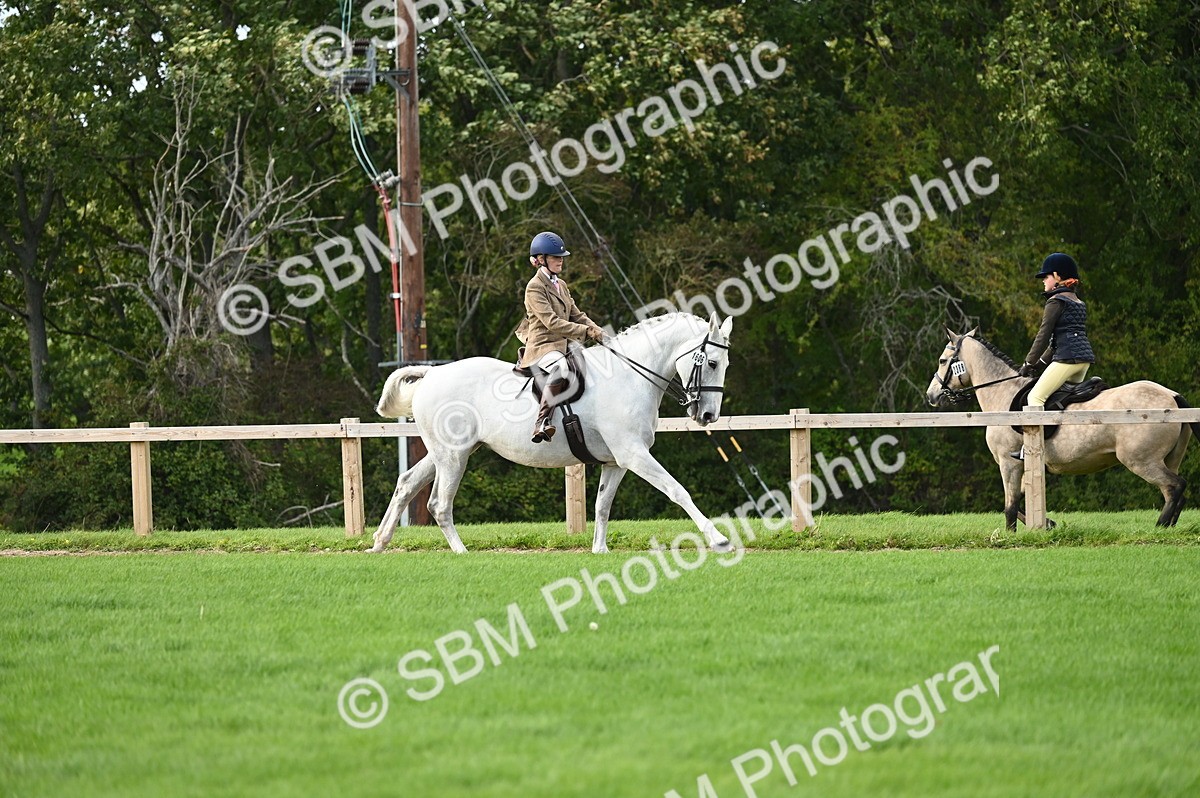 SBM_26396 - S6 - Novice & newcomer Ridden horse