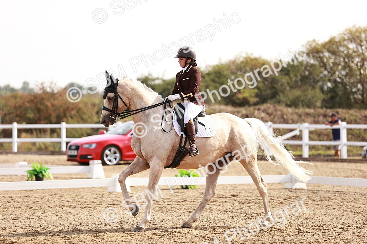 SBM_017021 - Class 10 - Medium 6